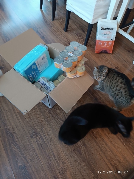 Handicapcats z.s